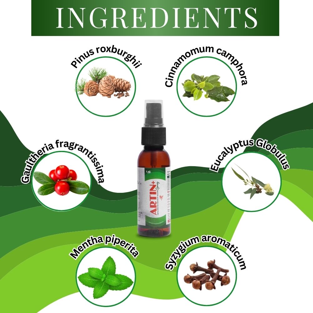 Artin Pain Relief Spray